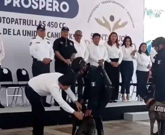 Cuando la perra es brava, hasta a los de casa muerte