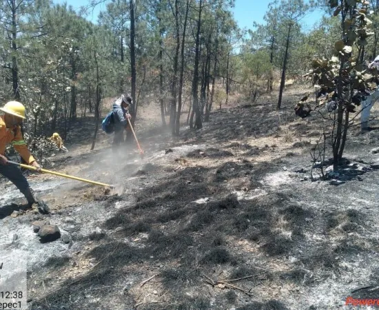 Controlan incendio forestal en Santa María Zacatepec