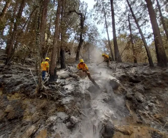 Controlan al 95% incendio forestal en Santa Catarina Juquila
