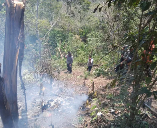 Controla Coesfo incendio forestal en San Isidro Huayápam