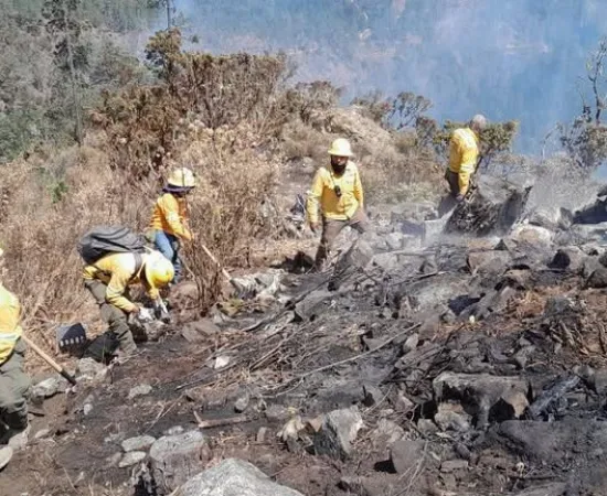 Se atiende en Oaxaca 7 incendios forestales