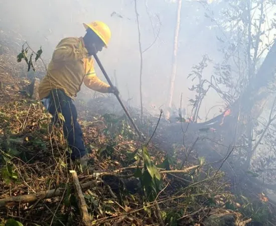 Controla Coesfo incendio forestal en Santiago Jocotepec