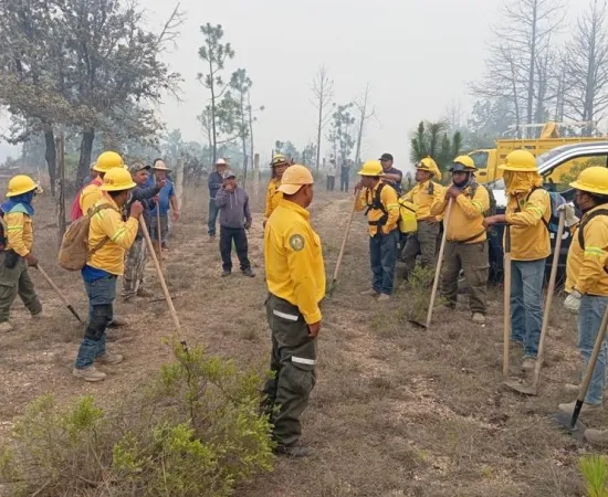Más de 2 mil hectáreas afectadas por 46 incendios durante mayo: Coesfo