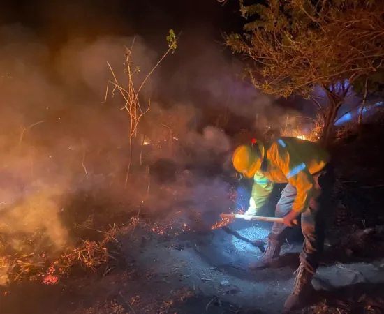 Reporta Coesfo control de dos incendios forestales en Santiago Pinotepa Nacional