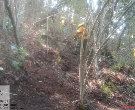 Reporta Coesfo control de incendio forestal en San Miguel Coatlán