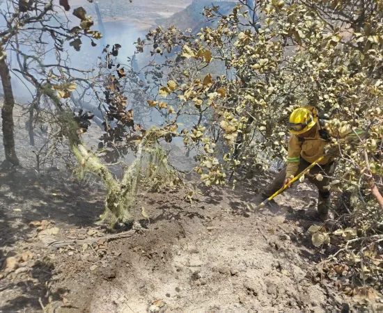 Controla  Coesfo incendio forestal en San Lorenzo Albarradas