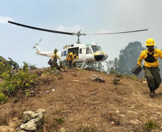 Controla Coesfo incendio forestal en San Francisco Ixpantepec