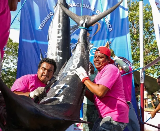 Genera Torneo Internacional de Marlín Huatulco 2025 derrama económica de 78 mdp: Sectur Oaxaca