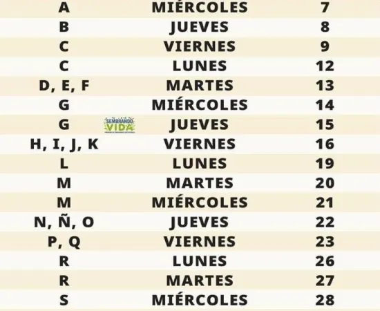 Da inicio dispersión de pagos de programas prioritarios