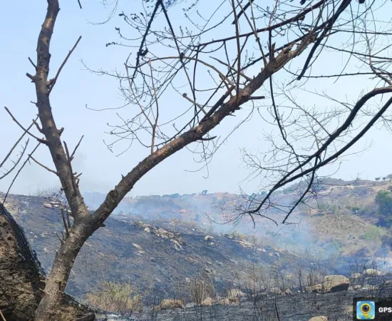 Atiende Coesfo incendio forestal en Santiago Pinotepa Nacional