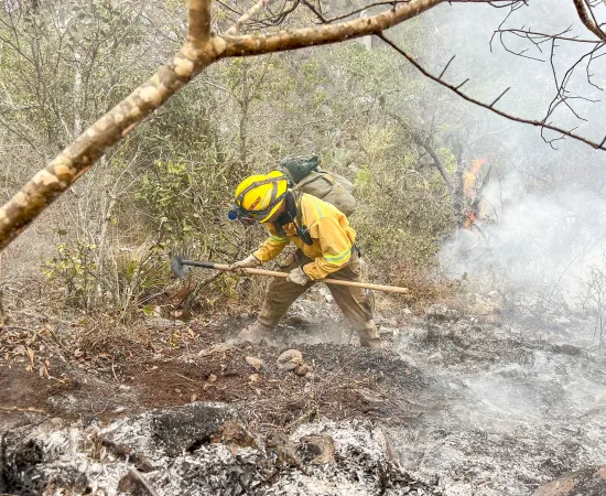 Liquida Coesfo incendios forestales en Santa María Tonameca y Santiago Tilantongo
