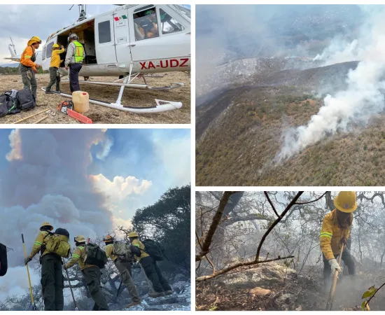 Reporta Coesfo 70% de control en incendio forestal de Tepelmeme Villa de Morelos