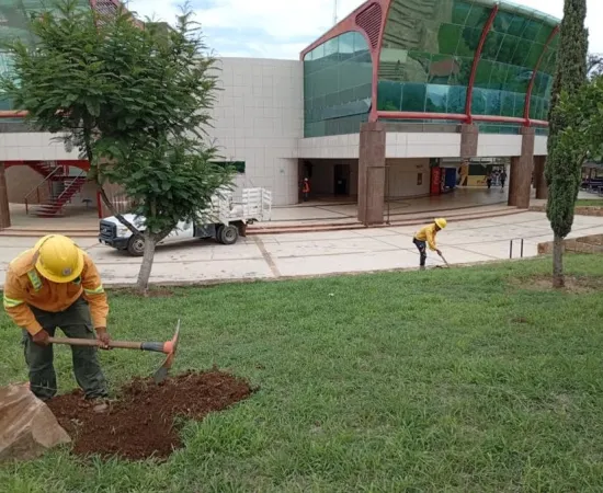Inicia Coesfo acciones de Reforesta Oaxaca en Ciudad Judicial