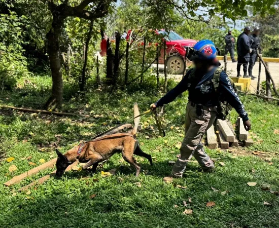 Con tres binomios caninos, CLB intensifica acciones para localizar a menor de la sierra mixe