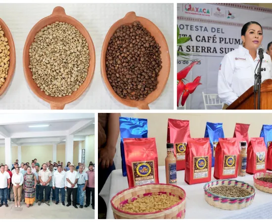 Coordina Sectur Oaxaca esfuerzos para impulsar la Ruta del Café Pluma Aromas de la Sierra Sur