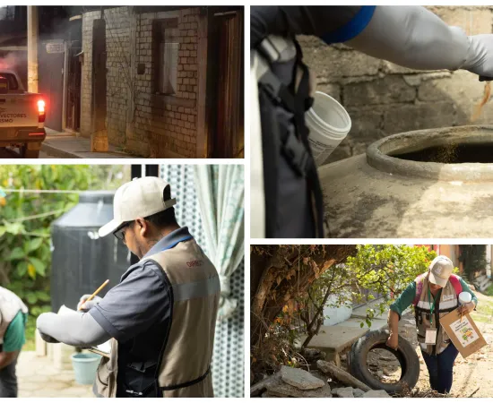 Xoxocotlán refuerza campaña contra el dengue: La prevención comienza en casa
