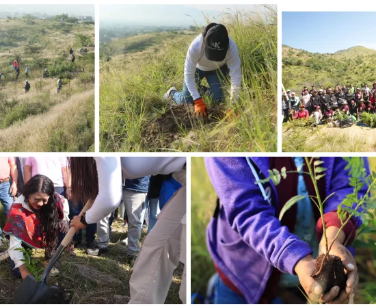 Xoxocotlán suma esfuerzos para sembrar vida en Mega Tequio de Reforestación
