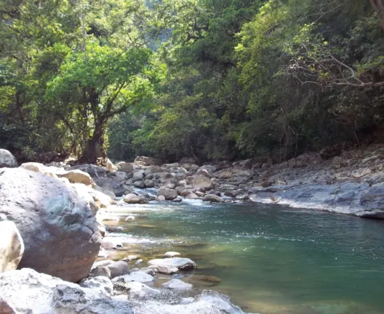 Sigue búsqueda de niña arrastrada por corriente del río Petlapa