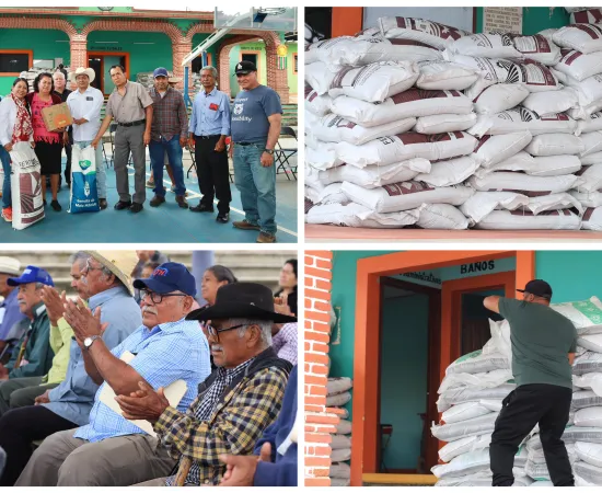 Entregan apoyos agrícolas en Arrazola para fortalecer la seguridad alimentaria