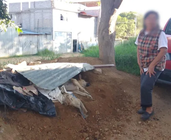 Atiende Fiscalía de Oaxaca caso de crueldad animal en los Valles Centrales