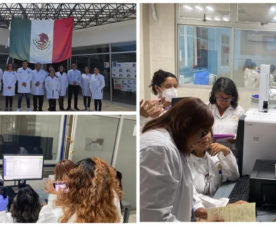 Fiscalía de Oaxaca emplea tecnología de la DEA para detección de drogas como parte de estrategia de combate al narcomenudeo