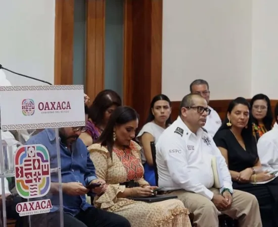 DE PARADOJAS Y UTOPÍAS / Revocación: Realidad y ficción / RAÚL NATHÁN PÉREZ