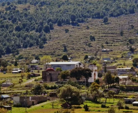 Expolición / La guerra de las mojoneras / Amado Sanmartín Hernández