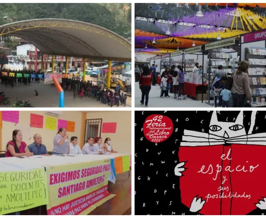 Expolición / Una propuesta salvadora / Amado Sanmartín Hernández