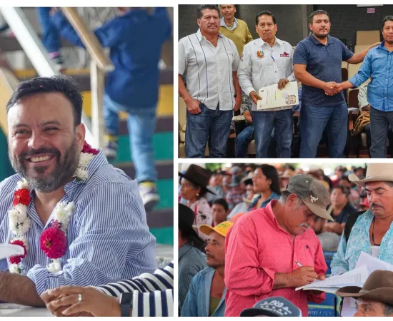 El único camino es la paz territorial / Por Jesús Romero López