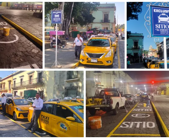 Sitio de taxis “Alameda” se renueva 