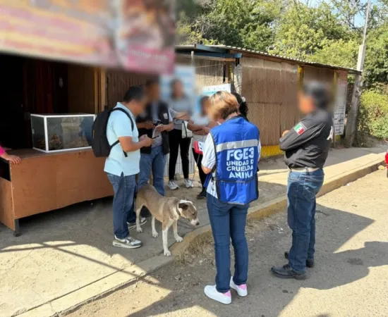 Rescatan a Kira ante probable maltrato animal y activa medidas de protección