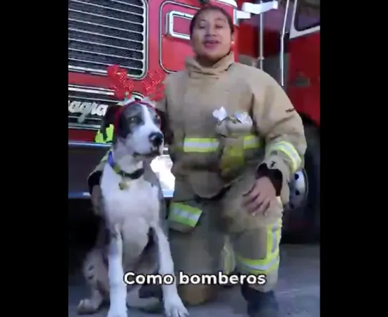 Llama SSPC a evitar el uso de pirotecnia en estas fiestas decembrinas
