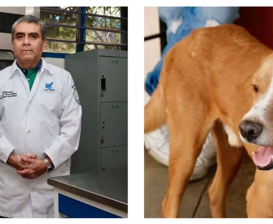 Fuegos artificiales, importante el manejo adecuado y reducir emisiones contaminantes