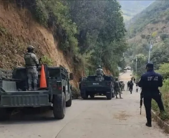 Hallan dos cuerpos sin vida, uno de ellos fue devorado por los perros 