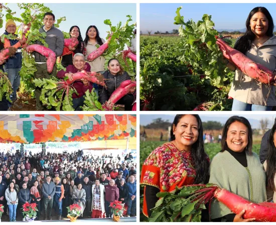 Tania Caballero destaca la tradición oaxaqueña de la Noche de Rábanos