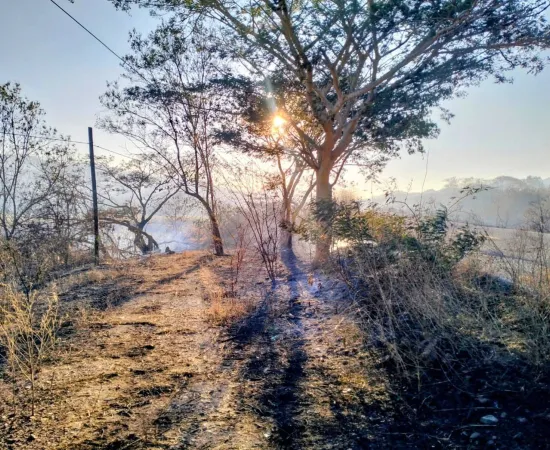 Atienden incendios en Santiago Astata 