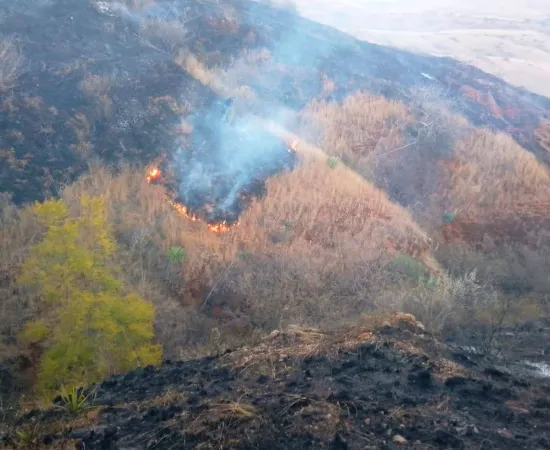 Liquida Coesfo incendio de pastizal en Zimatlán de Álvarez