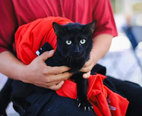 Por la salud de nuestras mascotas, arranca vacunación antirrábica gratuita en Xoxocotlán