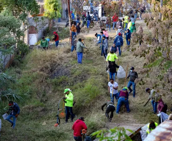 Gran grupo de ciudadanos realizando un tequio vecinal para la limpieza de maleza y mantenimiento de áreas verdes en Oaxaca de Juárez, enero 2026.