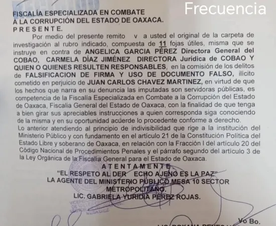 Piden acción penal contra directora general del COBAO 