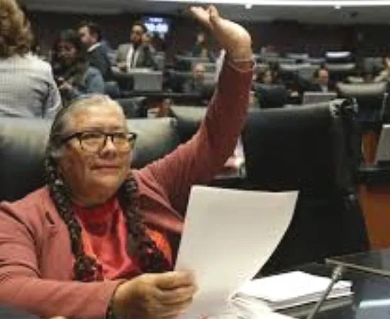 Queda Morena Oaxaca en manos de la senadora Luisa Cortés