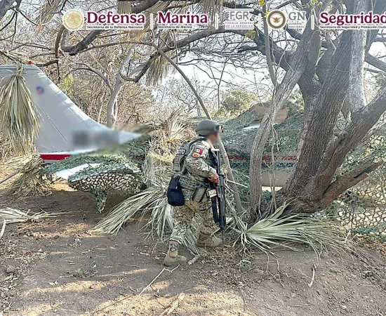 Aseguran avioneta con más de media tonelada de cocaína en Oaxaca