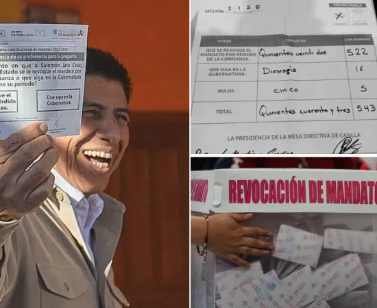 DE PARADOJAS Y UTOPÍAS / Revocación: Un recuento de daños / RAÚL NATHÁN PÉREZ