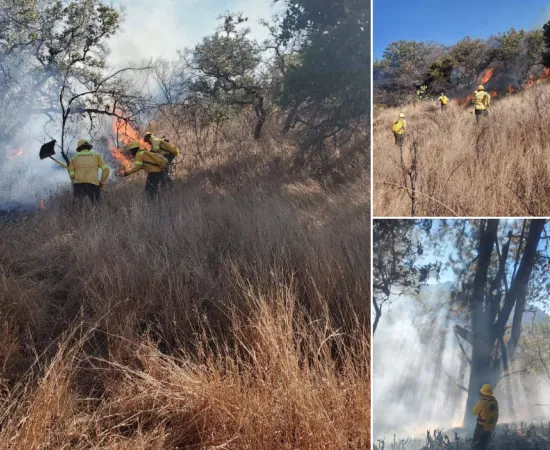 Atiende Coesfo cuatro incendios forestales registrados en diferentes regiones de Oaxaca