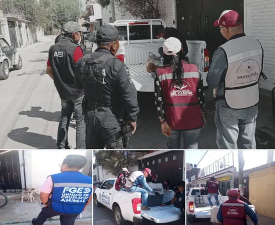 Acción coordinada permite rescate y atención médica de perrito abandonado en Santa Lucía del Camino
