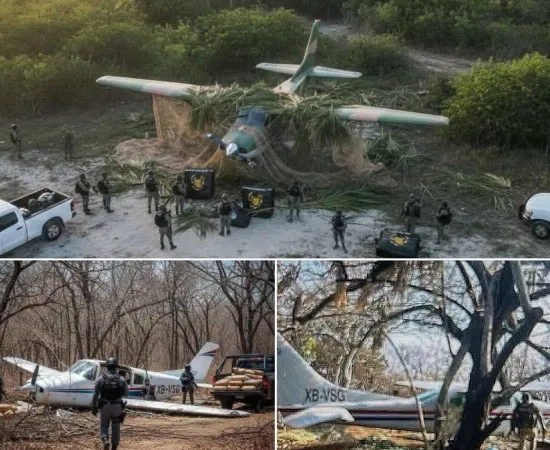 Inteligencia de EU y México logran histórico decomiso cerca de Juchitán: 534 paquetes de droga asegurados