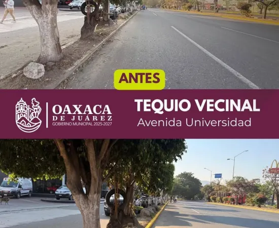 Trabajo que se ve: vecinas y vecinos realizan Tequio Vecinal en Avenida Universidad