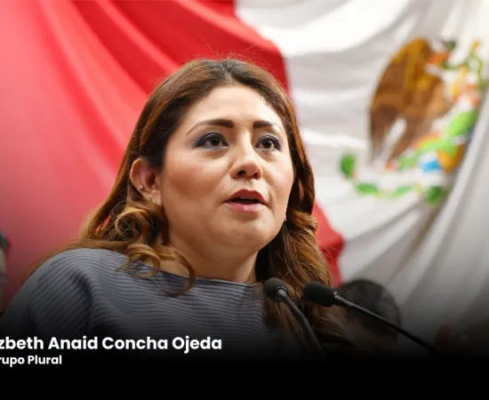 Poder Legislativo exhorta a municipios de la entidad a fortalecer acciones contra incendios en zonas urbanas, rurales y pastizales