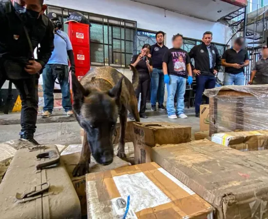 Operativo simultáneo en paqueterías de Oaxaca permite detectar envío de drogas, armas y cartuchos