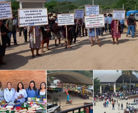 Expolición / No son las mismas llamas / Amado Sanmartín Hernández